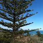 In Sea Horizon *