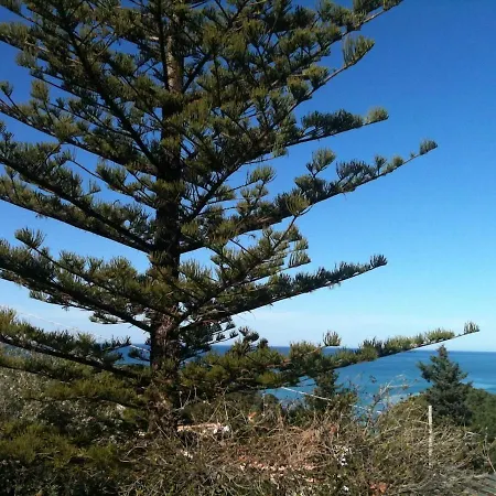In Sea Horizon *